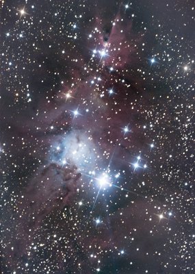 NGC2264 Cono.jpg