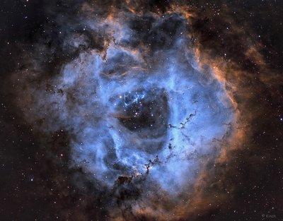 rosette_nebula (1328 x 1040).jpg