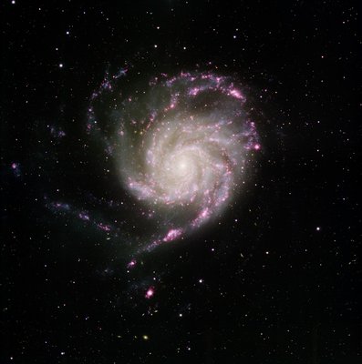 m101.jpg