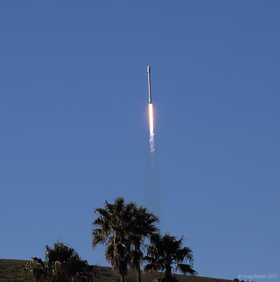 Falcon 9 Palm Trees Liftoff 20170114c.jpg