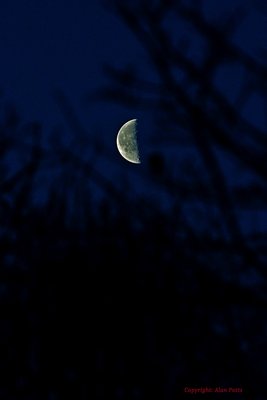 Moon_20Jan17_300mm_f8_640ths_1600ISO_DSC_0023_a_small.jpg