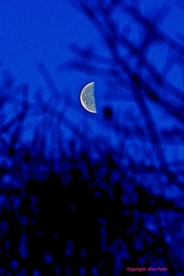 Moon_20Jan17_300mm_f8_800th_sec_1600ISO_DSC_0023_b_small.jpg