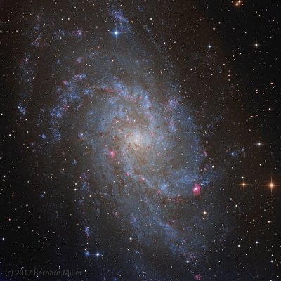 M33_PS1_FULL (1)_small.jpg