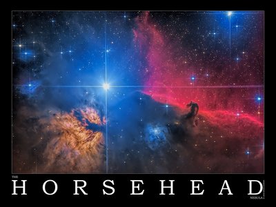 horsehead_small.jpg