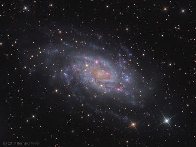 NGC2403_PS2_CROP_FULL_small.jpg