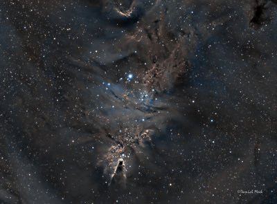 NGC2264_APOD_small.jpg