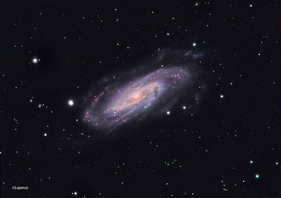 NGC3198-LRGB-4hrs-02-19-17-CR_small.jpg