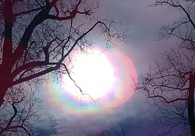 Sunbow-2-132107.jpg