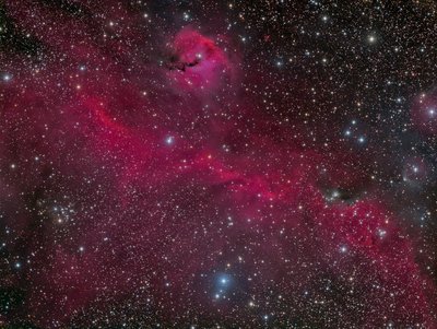 Seagull Nebula FSQ LRGB Processed - LR1_small.jpg