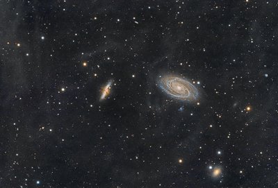 m 81 82 e IFN_small.jpg