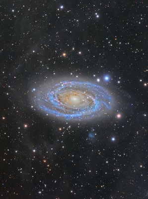 M81_APOD_small.jpg