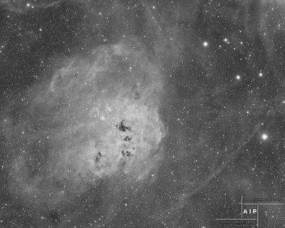 IC410_Ha_AIP_2048_jpg_small.jpg