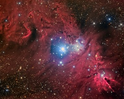 NGC2264_scnr_80pct_small.jpg