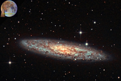 NGC 253 Galaxy sendo to APOD.jpg