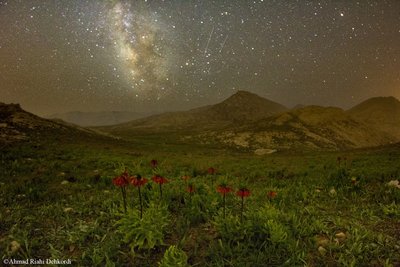 Laleh-Vajgoon National Natural Monument-_small.jpg