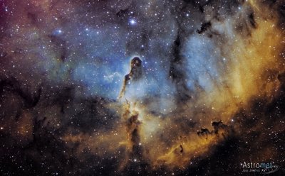 IC1396 SHO+RGB-2_small.jpg