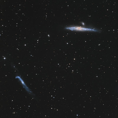 NGC4631_4656_Whale_HockeyStick_Galaxy_800px_q10.jpg