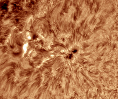 AR 2661 coming around the Eastern Limb.