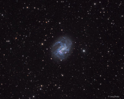 NGC4395_asterisk_leo_shatz.jpg