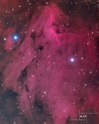 Pelican_Nebula_AIP_jpg_small.jpg