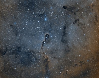 IC1396BiColor_small.jpg