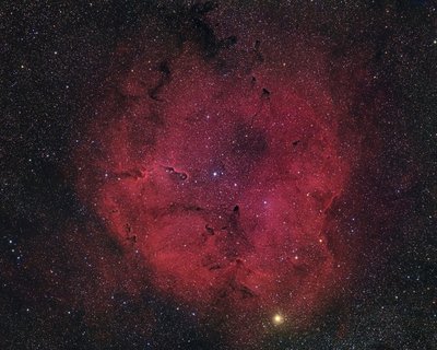 IC1396 7hr40m HaRGB July 2017_smll.jpg