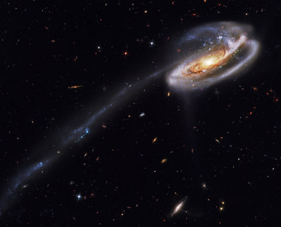 The Tadpole Galaxy is a disrupted spiral galaxy showing streams of gas <br />stripped by gravitational interaction with another galaxy. Molecular gas is <br />the required ingredient to form stars in galaxies in the early universe. <br />Credit: Hubble Legacy Archive, ESA, NASA and Bill Snyder.