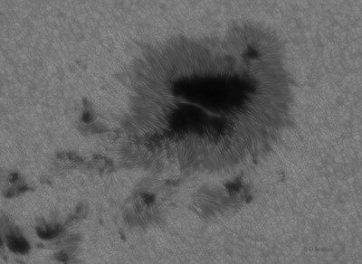 AR2665cr_jpg.jpg