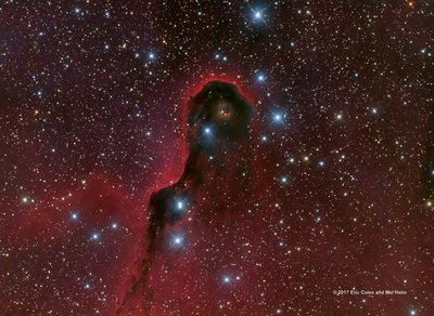 The Elephant's Trunk Nebula_IC 1396_HRGB Image_small.jpg
