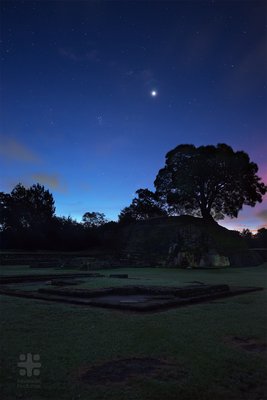 venus dawn apod_jpg.jpg