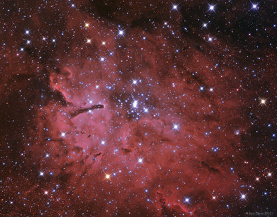 NGC6823%20[1].jpg