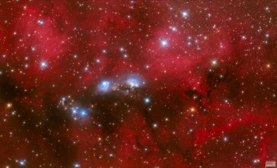 205_lorand_fenyes_ngc6914_small.jpg