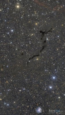 Barnard 150 , NGC6946 The sea horse and the galaxy-2.jpg