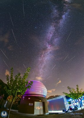 perseids_120817_small.jpg