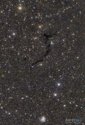 El caballito de mar y la galaxia_small.jpg