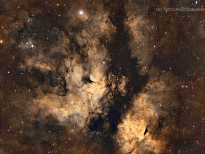IC1318 -  Y- Cyg-Sadr -NGC6910 - Jesús Vargas_small.jpg