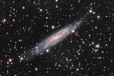Pavelchak NGC7640 Small.jpg