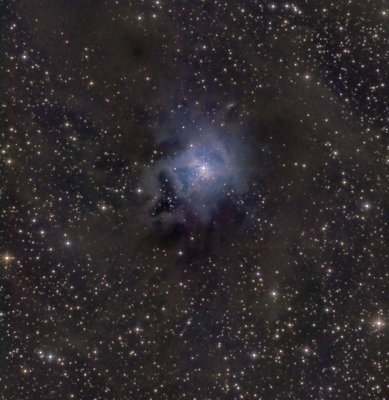 ngc7023_sigma_clone_small.jpg