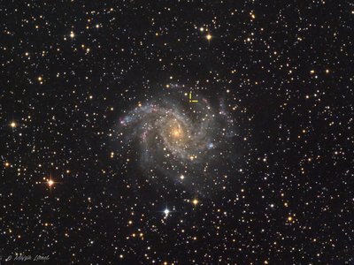 Goodbye_supernova_Lionel_Majzik_25092017_small.jpg