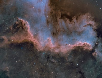 Cygnus Wall_small.jpg