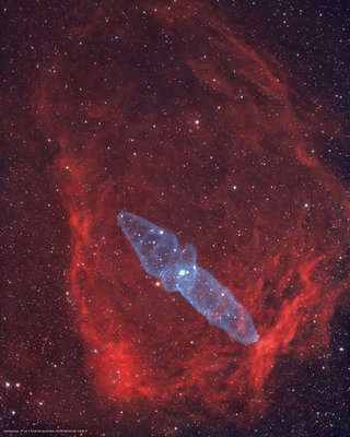 2017 10-03 - SH2-129 & Ou4 Flying Bat Nebula & Squid Nebula (Mono-70mm Ref)_small.jpg