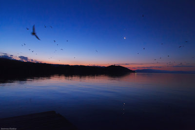 Armenia3_Sevan_Lake_Moon_Venus_Conjunction_Reflection_Birds.jpg