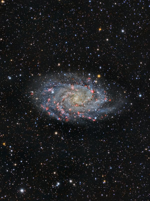 M33 APOD.jpg