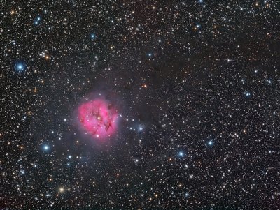 ic5146.jpg