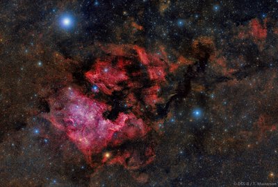 Dusty and Colorful North America and Pelican Nebula (DSS-II Combo)_small.jpg