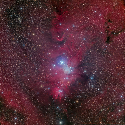 NGC 2264 LRGB RH16803 v2ps1LR1-3 Smaller.jpg