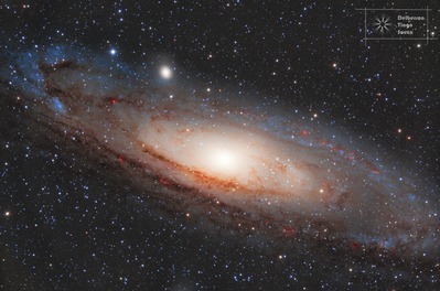 m31_apod.png