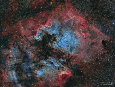 NGC7000-Horizontal_jpg.jpg