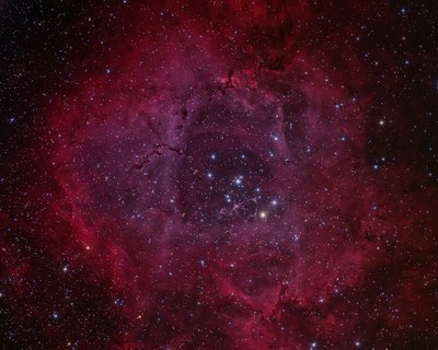 The Rosette Nebula HRGB Image_small.jpg