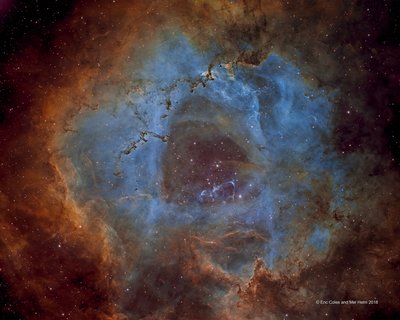 The Rosette Nebula Hubble Palette_small.jpg